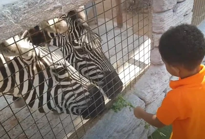 Зоопарк Emirates Park Zoo в Абу-Даби 6