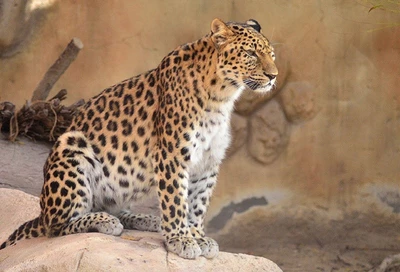Зоопарк Emirates Park Zoo в Абу-Даби 3