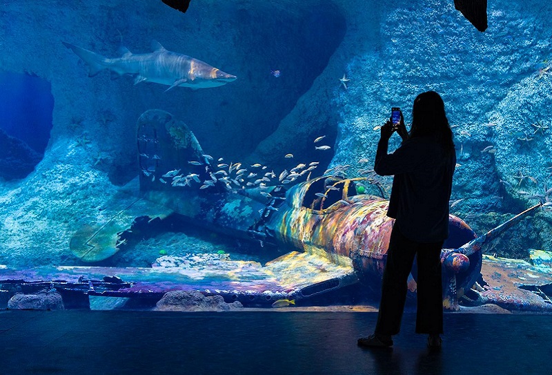 Аквариум «The National Aquarium» в Абу-Даби (билеты)