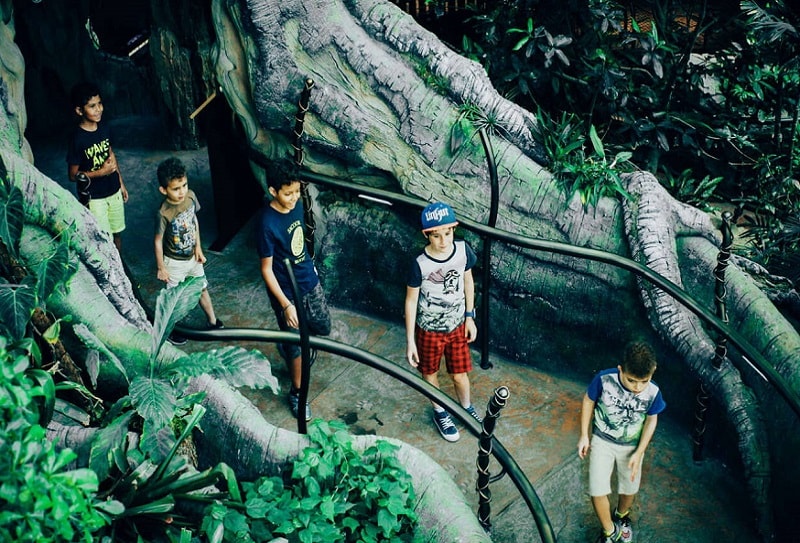 Тропический лес The Green Planet в Дубае 1