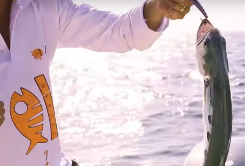 Морская рыбалка в Абу-Даби