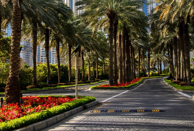 Мифы о Дубае