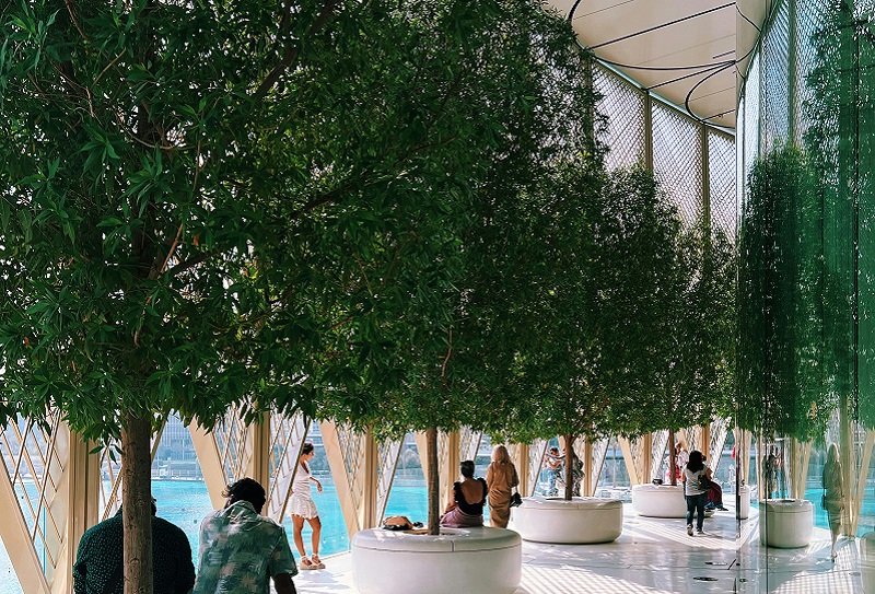 Торговые центры Дубая. Mall of the Emirates